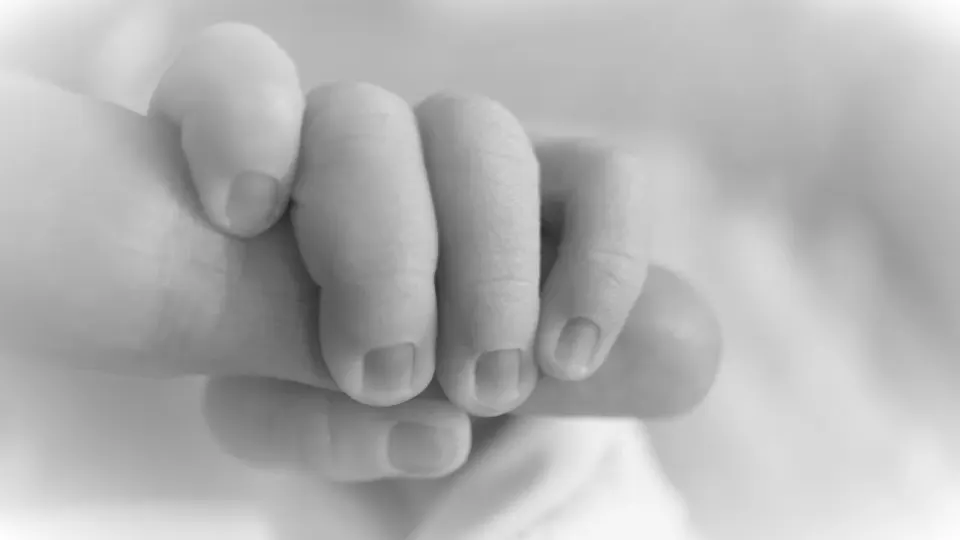 newborn, hd wallpaper, 4k wallpaper, hand