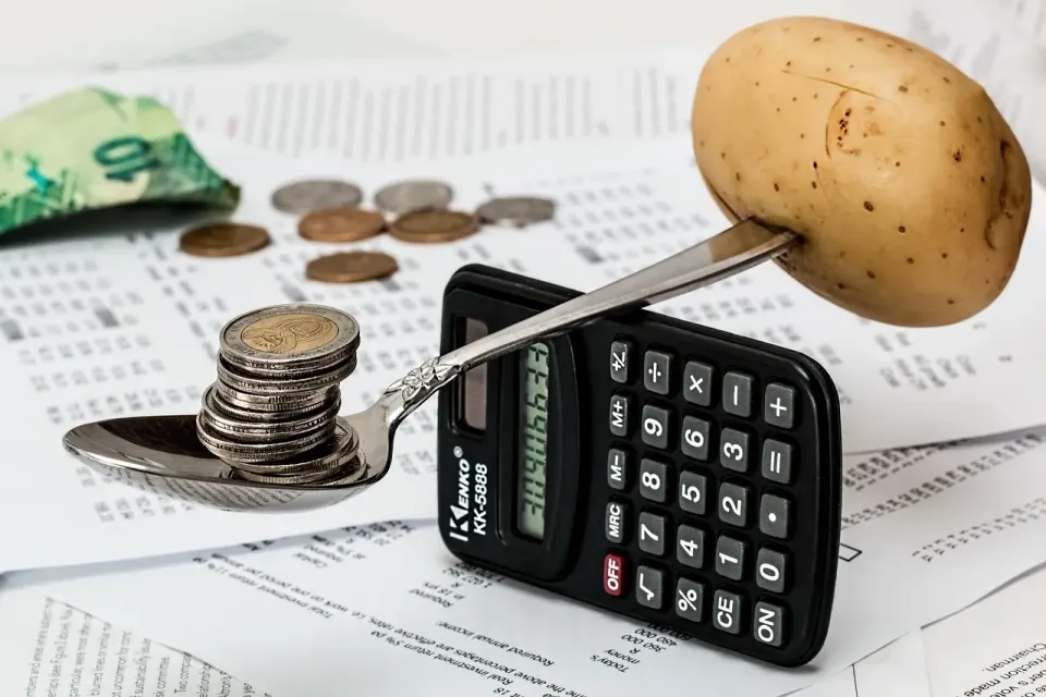 money, bills, calculator, to save